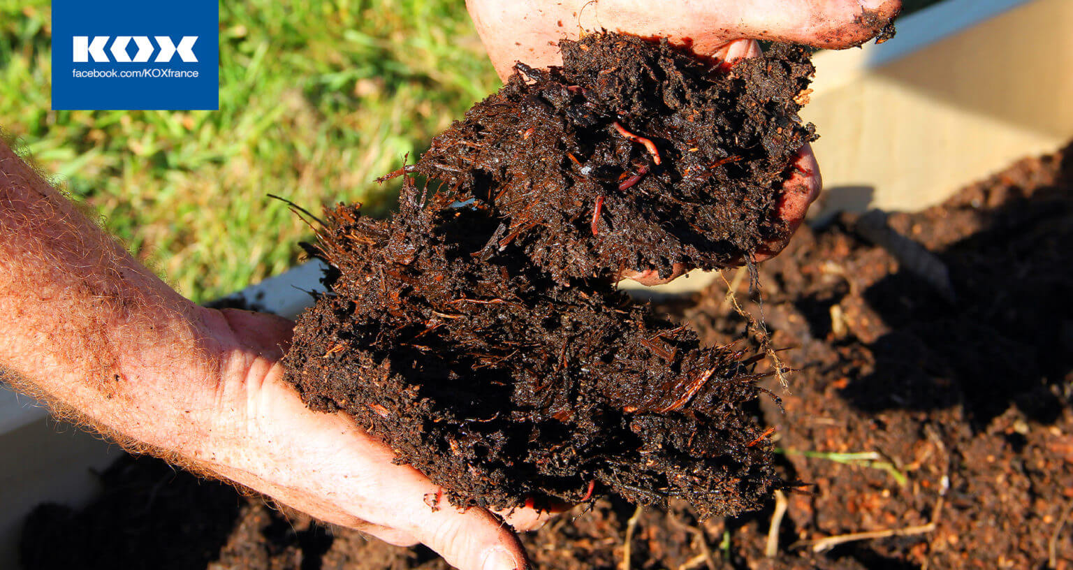 200218_KOX_Blog_Maerz_FR_Erde-1536x816