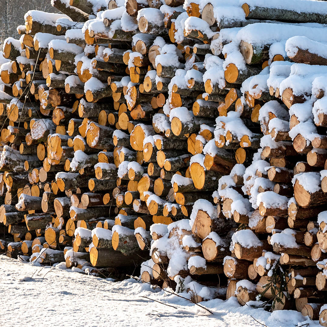 2021_12_18_Blogbeitrag