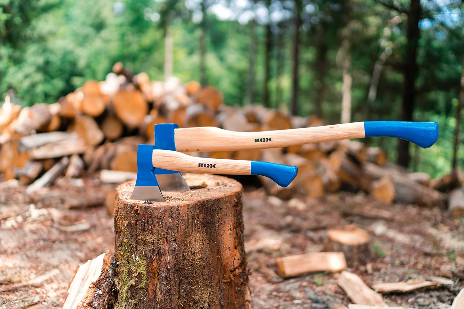 Deux haches aux manches en bois clair et aux t�tes bleues sont plant�es c�te � c�te dans une souche d’arbre. En arri�re-plan, on voit des b�ches empil�es dans une for�t verdoyante, l�g�rement flout�es.