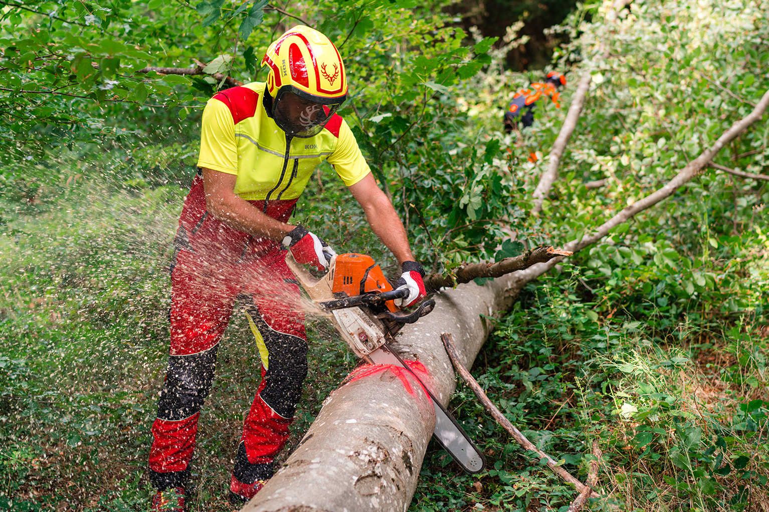 Ouvrier forestier en tenue de protection coupant un tronc d’arbre abattu dans la for�t avec une tron�onneuse, tandis que des copeaux volent dans l’air.