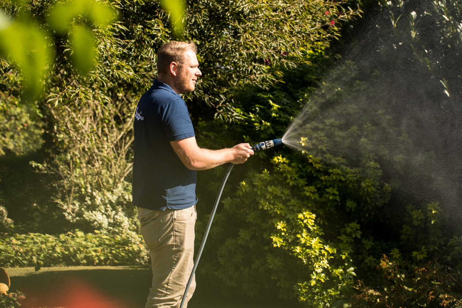 Un homme se tient dans le jardin et arrose des arbustes denses avec une lance � eau, avec un fin brouillard visible dans la lumi�re du soleil.