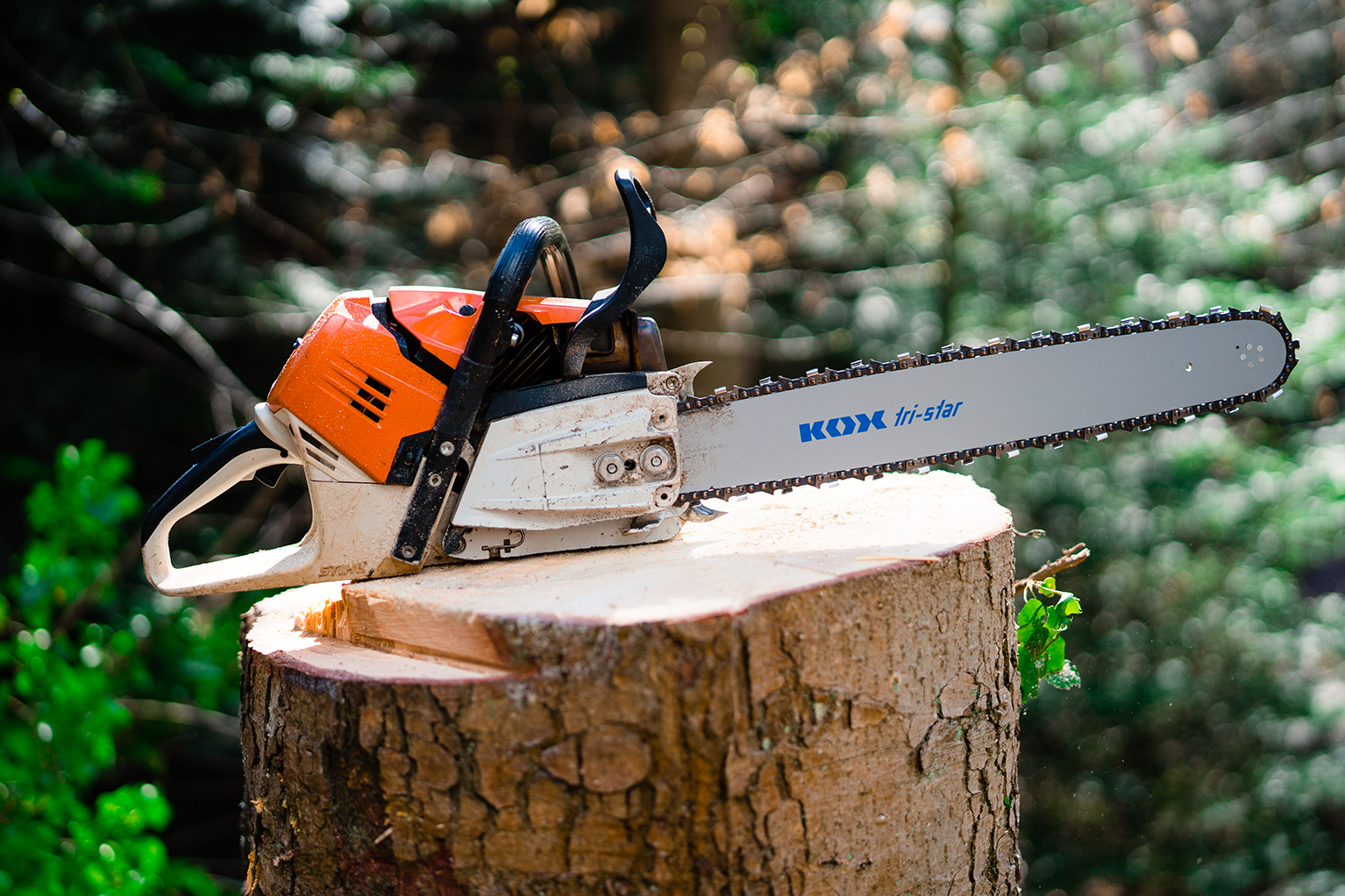 Tron�onneuse avec guide KOX tri-star pos�e sur une souche d’arbre fra�chement coup�e en for�t.