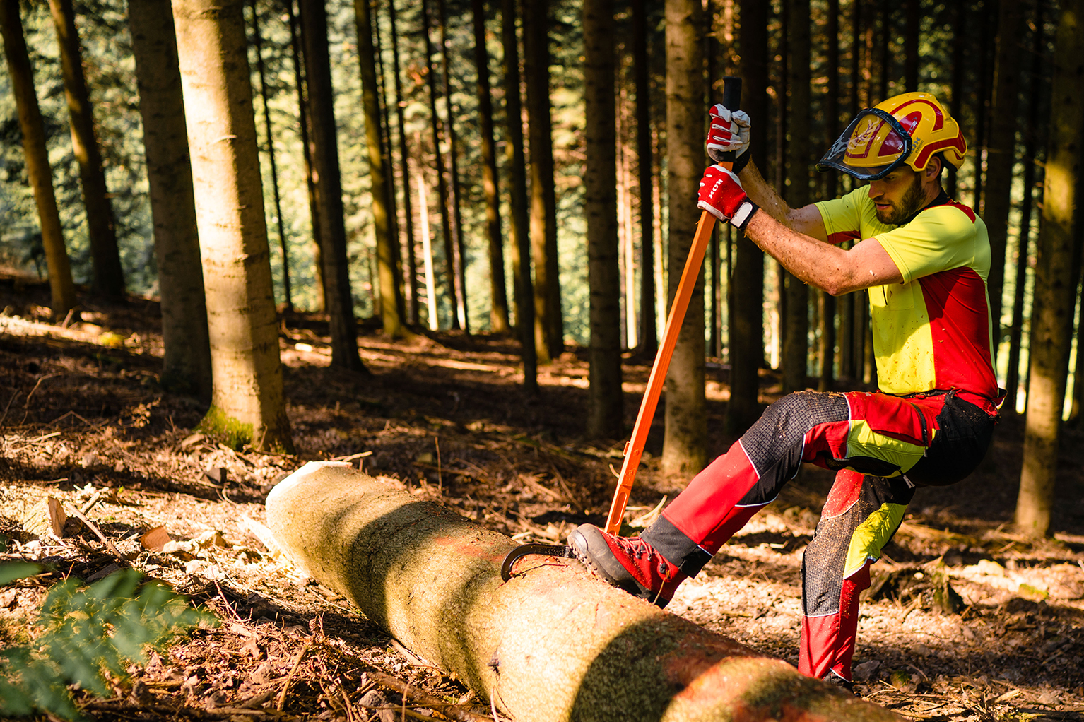 Un ouvrier forestier en tenue de protection rouge et jaune d�place un tronc avec un long outil forestier.