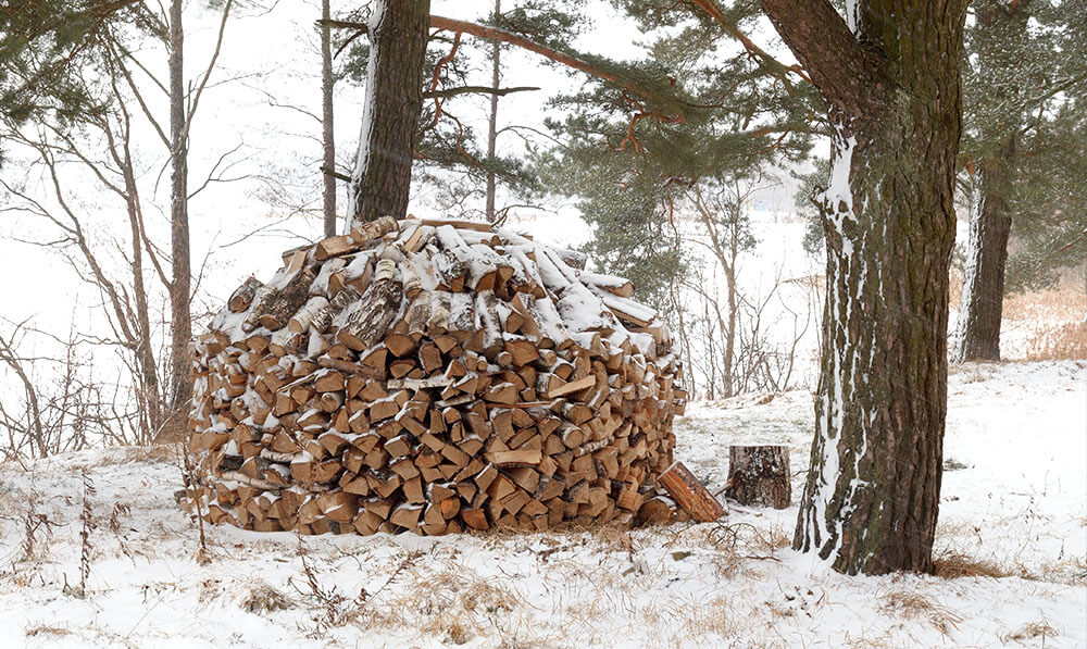 chauffer-bois-de-chauffage-hiver-essences-de-bois-proprietes-conseils-professionnel-astuces-chaleur-1