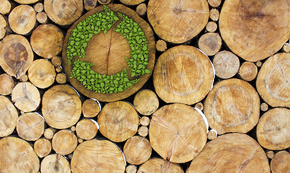 durabilite-construire-bois-naturel-materiau-construction-environnement-foret