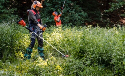TRAVAIL EN FORT ET UTILISATION DE LA TRONONNEUSE EN T