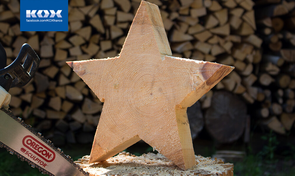sculpture-art-conseils-bois-scie-a-moteur-debutant-travail-forestier-romantique-competition-scie-1
