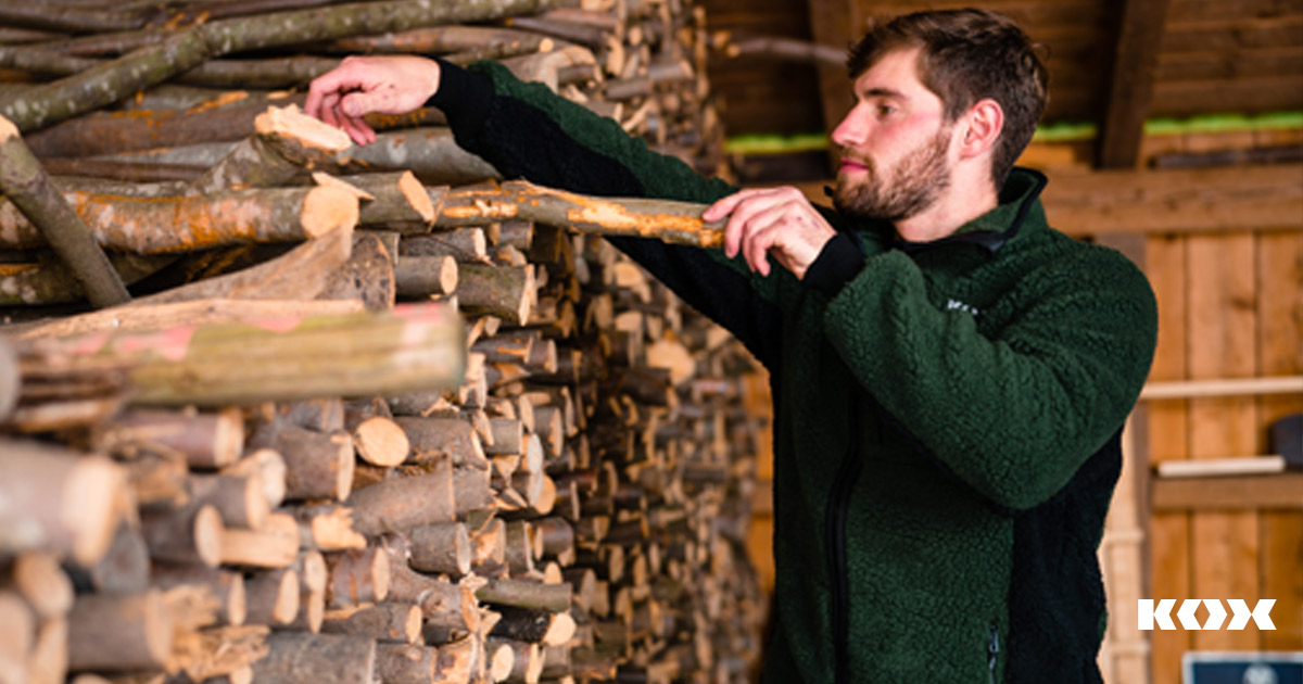 TOUT CE QU'IL FAUT SAVOIR SUR LE THME DU BOIS DE CHAUFFAGE