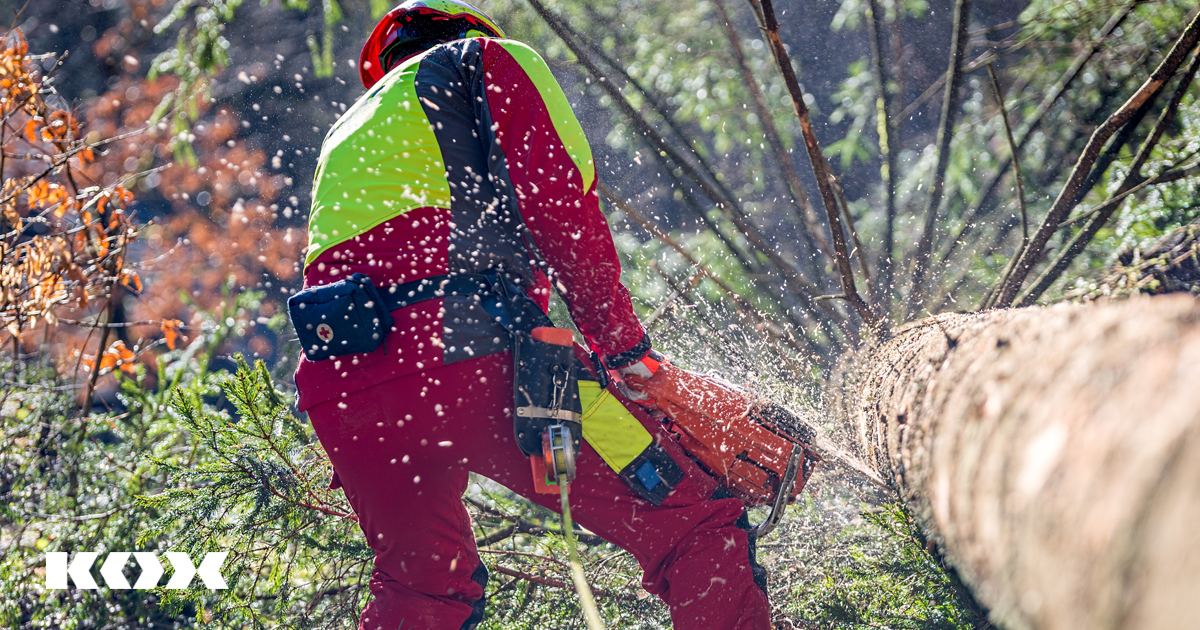 travailler avec une trononneuse intacte