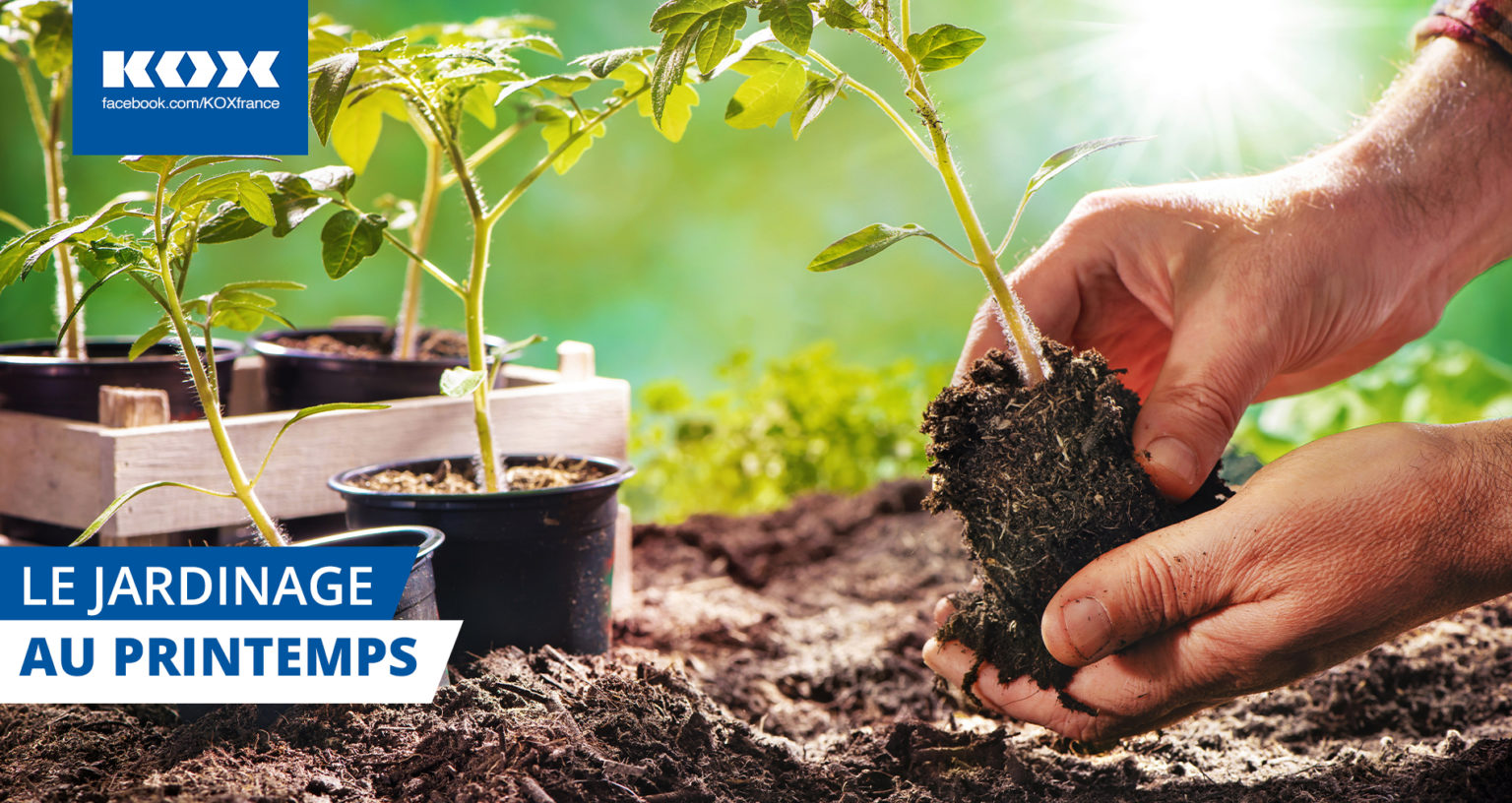 Jardinage-au-printemps