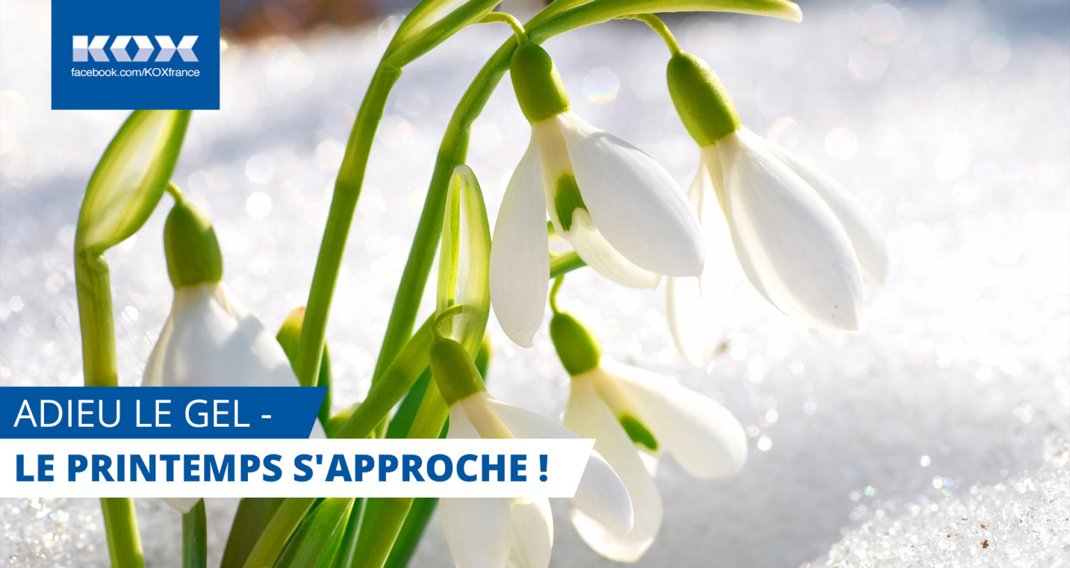 adieu-le-gel-le-printemps-sapproche