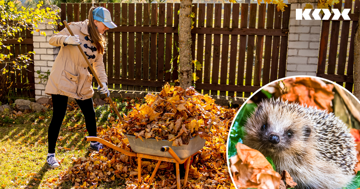 Quartier d'hiver pour les animaux