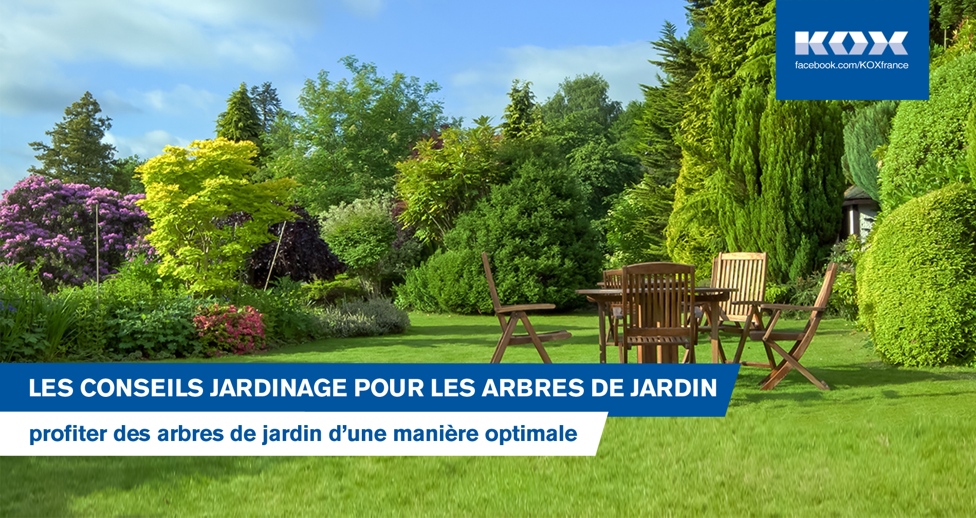 arbres-dans-jardin-plantes-entretien-jardinage-conseils-astuces
