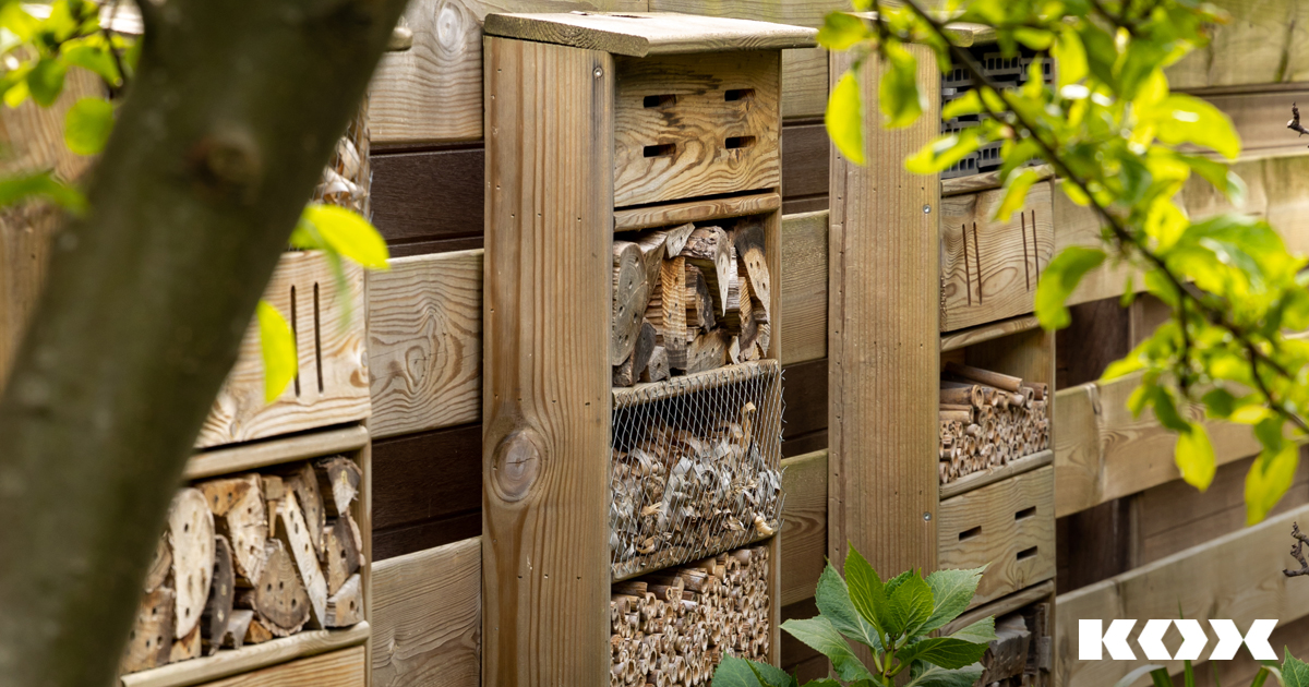 Protection de la nature dans le jardin : les meilleurs conseils pour un jardin potager respectueux des insectes