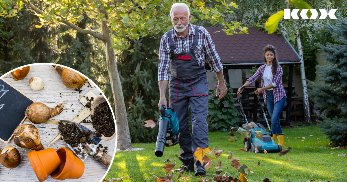 Les 5 meilleurs conseils pour le jardinage en automne : Check-list du jardin pour septembre, y compris les bordures de parterres