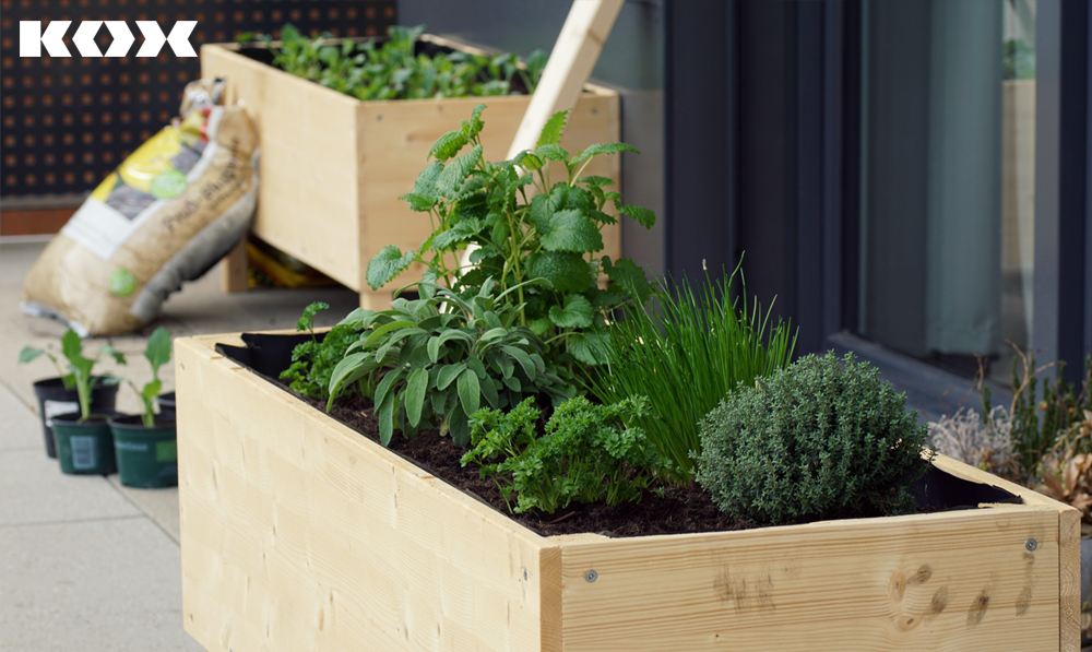 ardinire surleve faite maison sur le balcon