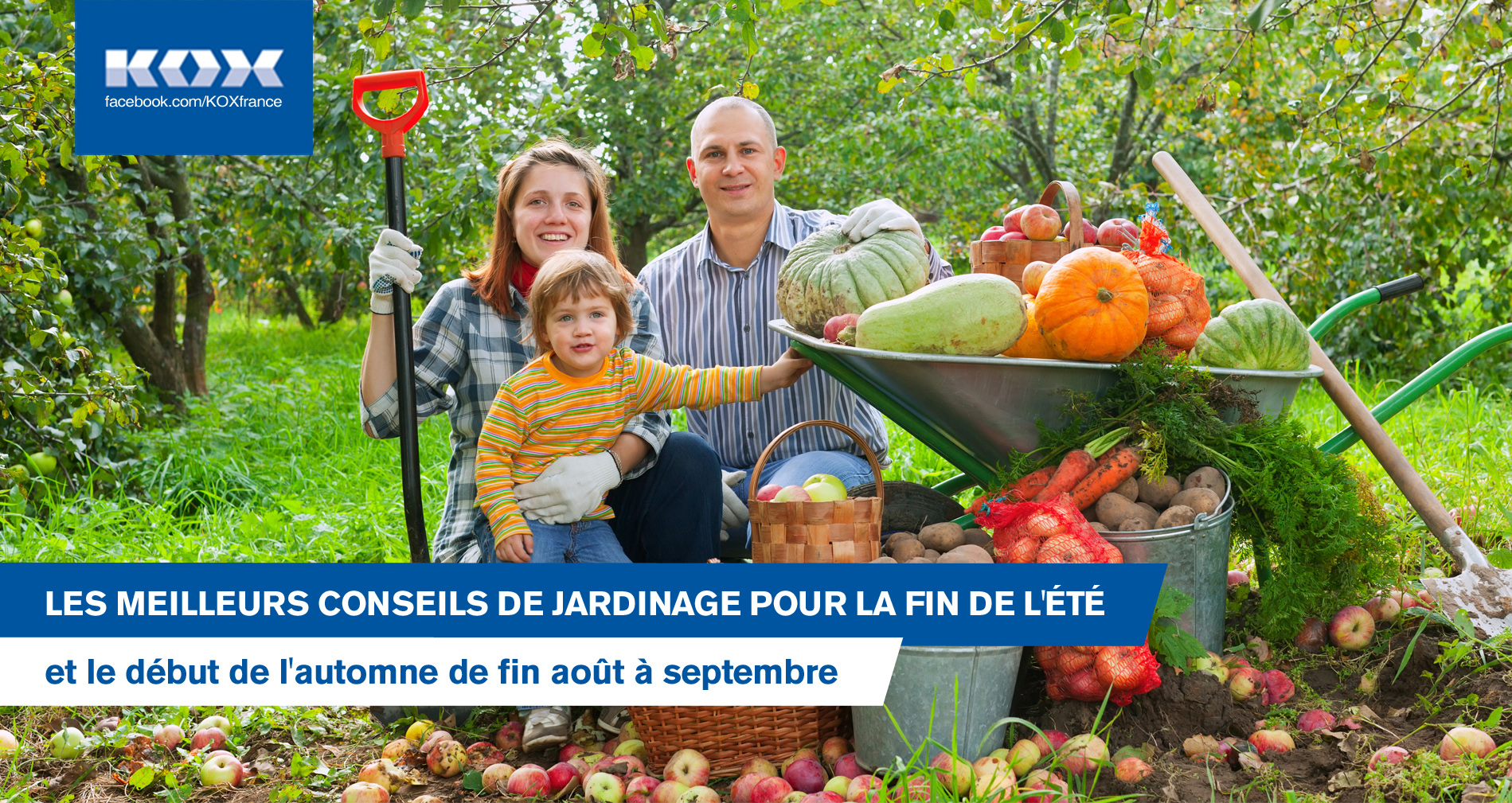 meilleurs-conseils-jardinage-fin