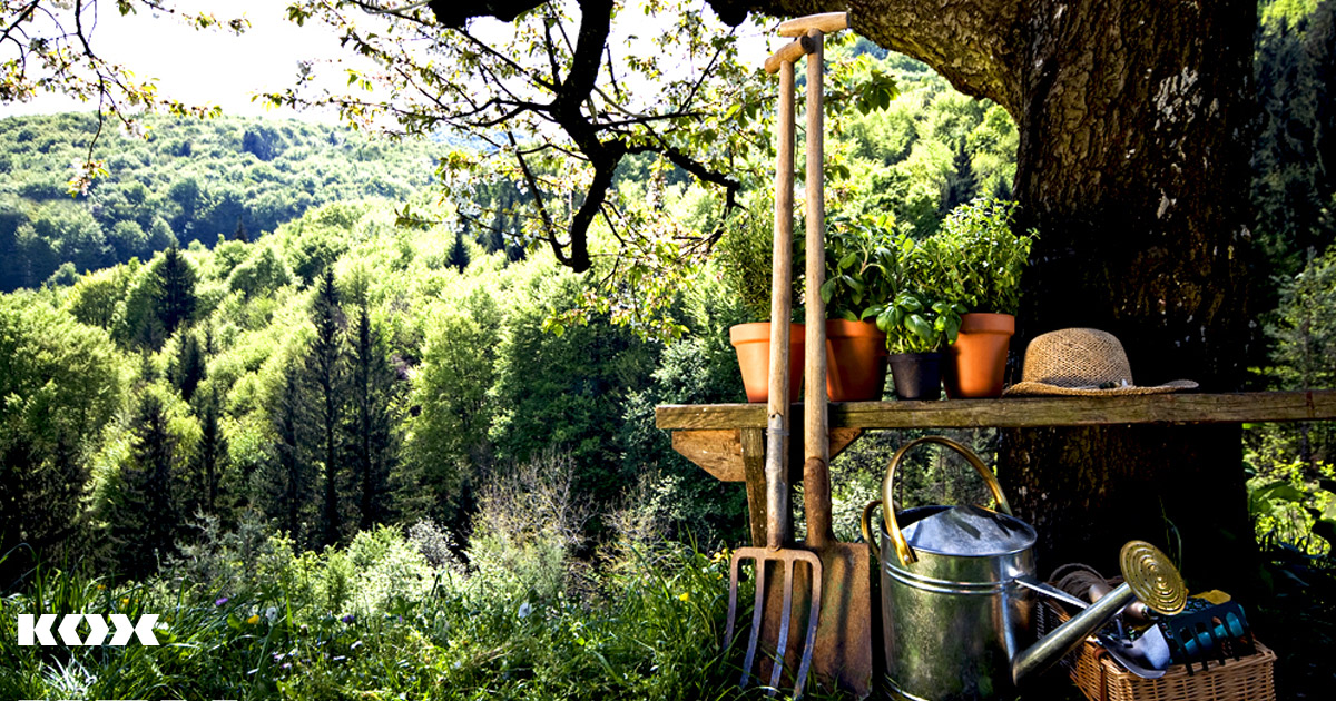 Top 10 des appareils et outils de jardinage les plus importants pour le jardinier amateur