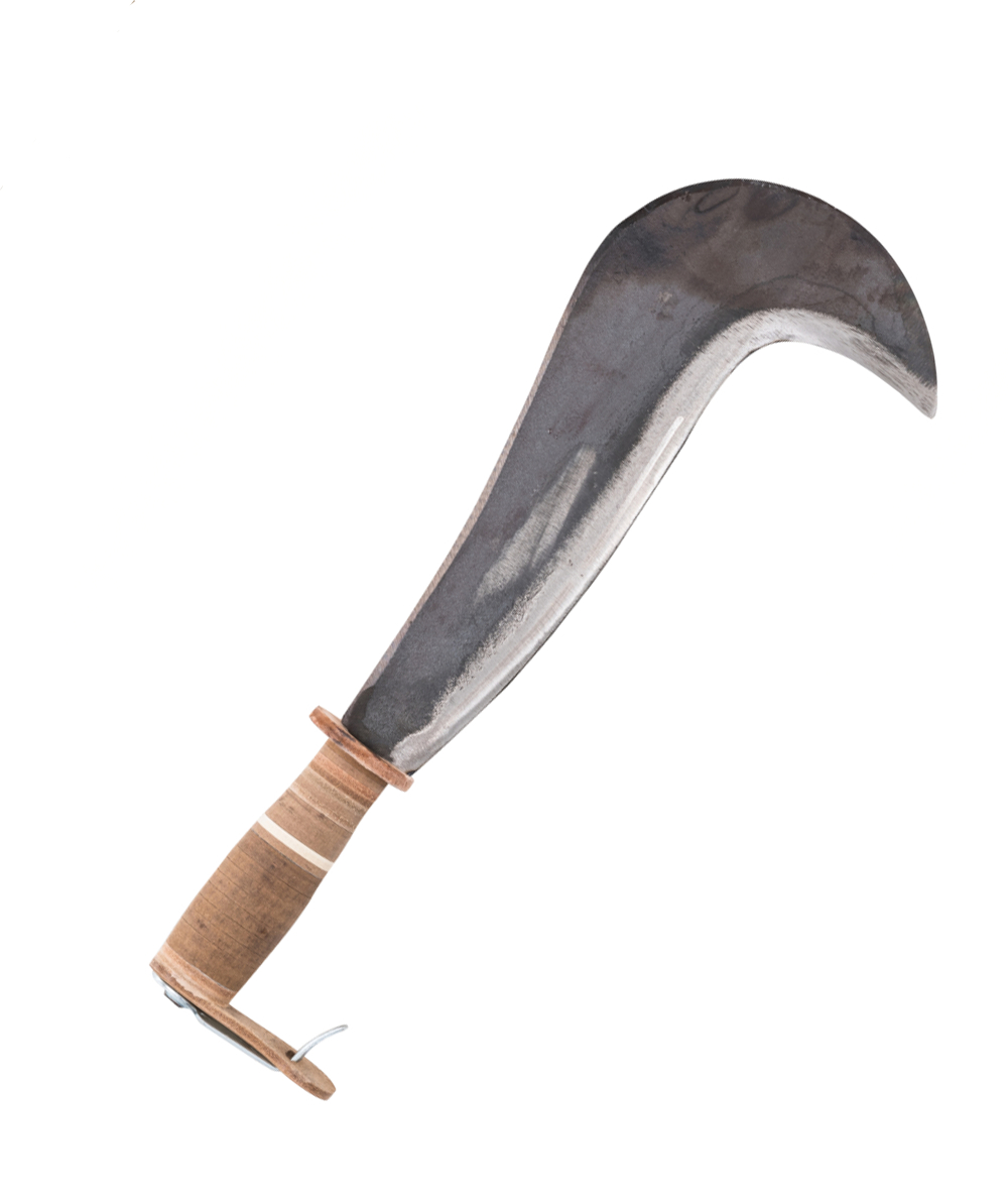 Serpe Suisse Müller, 40 cm, 700 g, XX97127