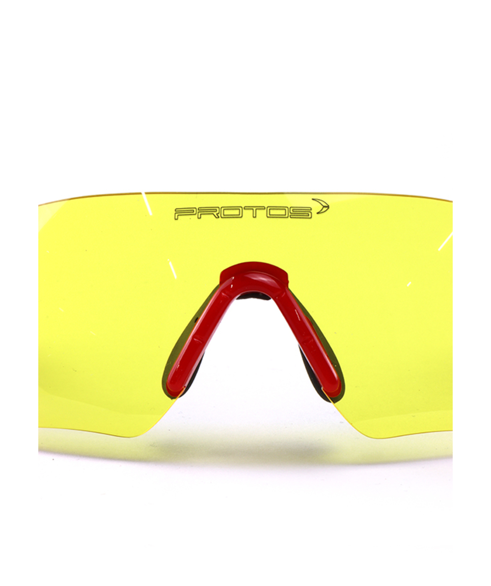 incolores Lunettes protection Protos Integral 